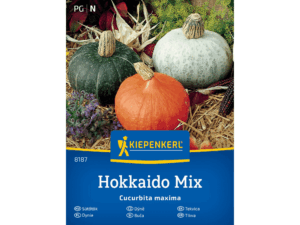 Dynia Hokkaido mieszanka trzech odmian Kiepenkerl