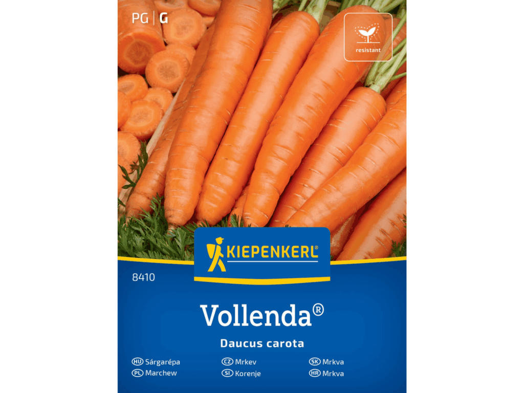 Marchew 'Vollenda®’ bardzo plenna nasiona Kiepenkerl