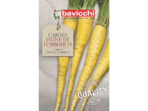 żółta marchew nasiona