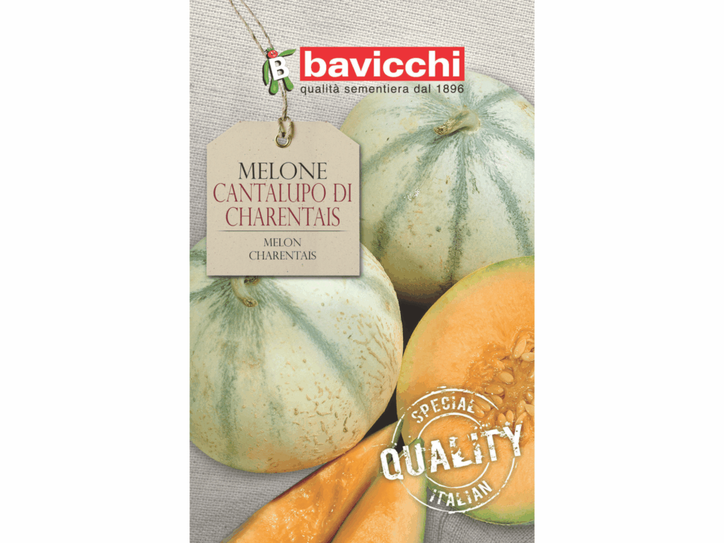melon nasiona