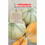 melon nasiona
