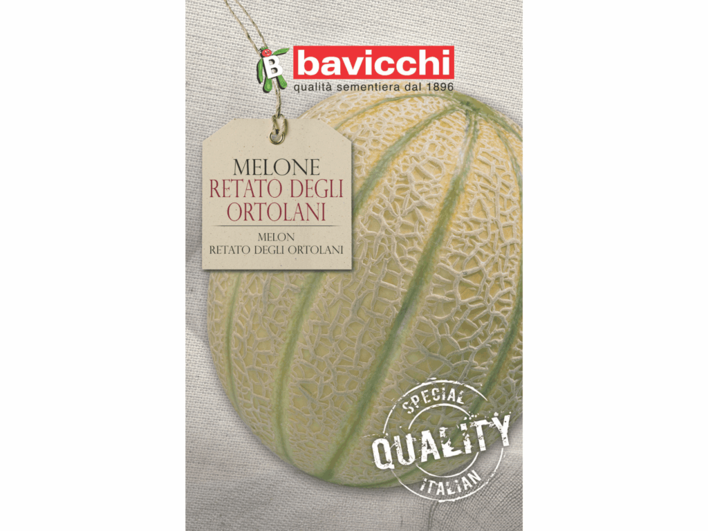 melon nasiona