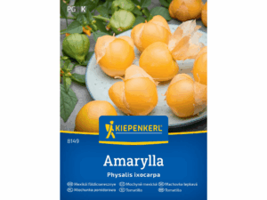 Miechunka pomidorowa 'Amarylla' nasiona Kiepenkerl