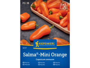 Papryka przekąskowa Salma®-Mini Orange F1 nasiona Kiepenkerl