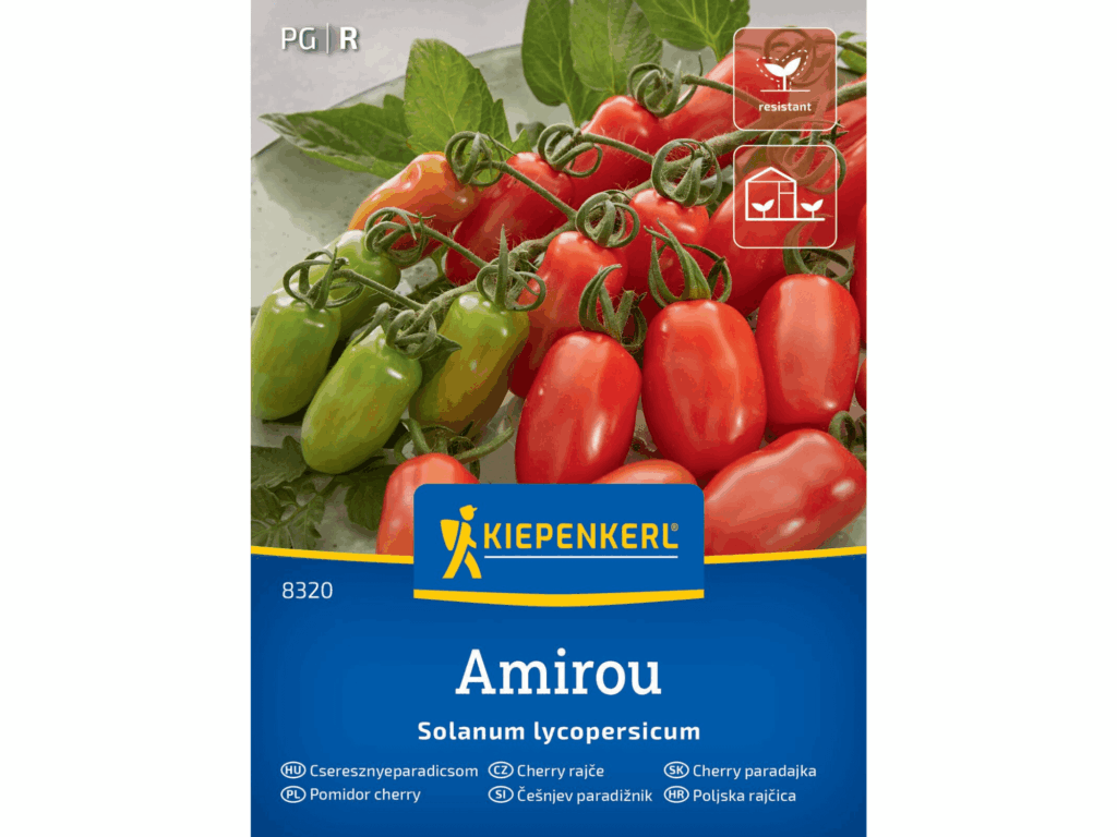 Pomidor cherry 'Amirou’ F1 nasiona Kiepenkerl