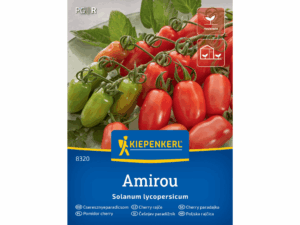 Pomidor cherry 'Amirou' F1 nasiona Kiepenkerl