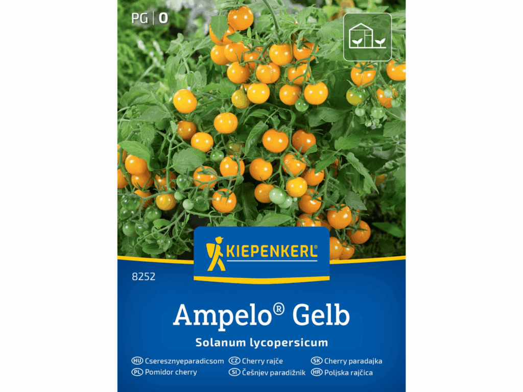 Pomidor cherry 'Ampelo® Gelb’ nasiona Kiepenkerl