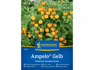 Pomidor cherry 'Ampelo® Gelb' nasiona Kiepenkerl