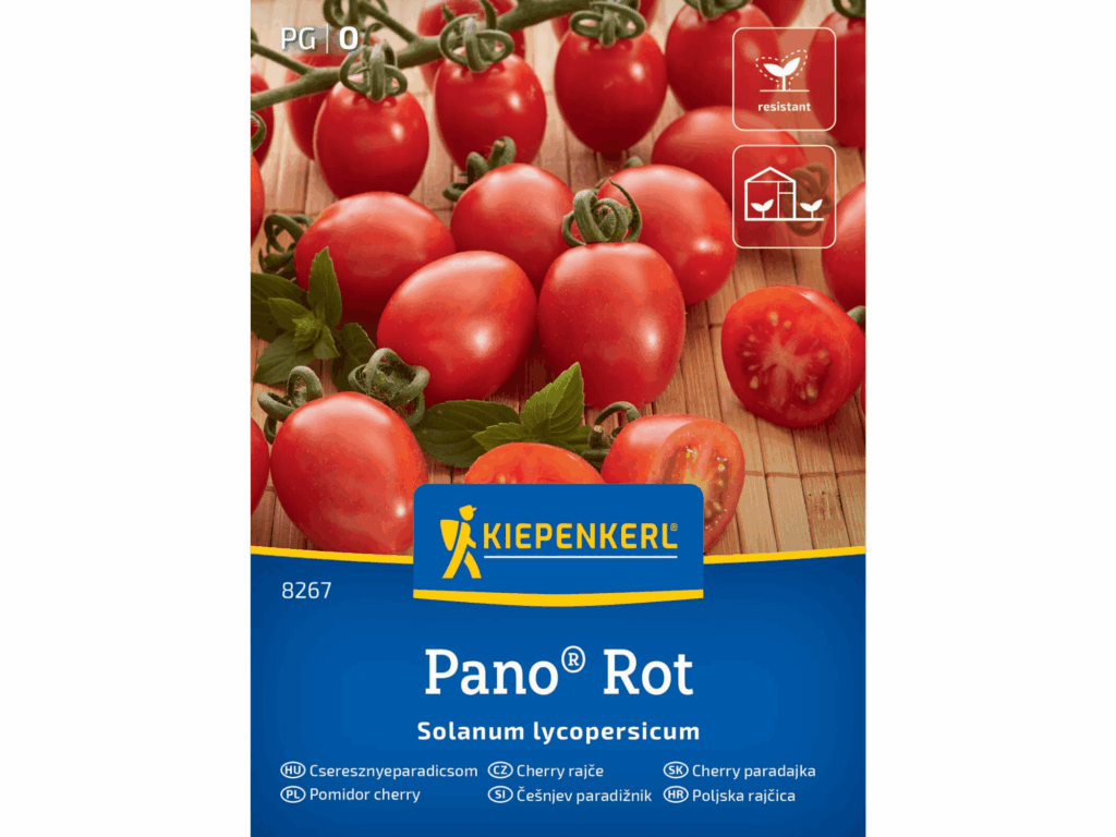 Pomidor cherry 'Pano® Rot’ F1 nasiona Kiepenkerl