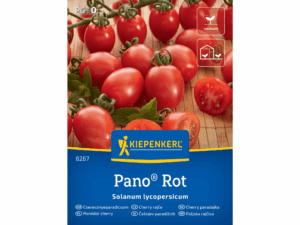 Pomidor cherry 'Pano® Rot' F1 nasiona Kiepenkerl