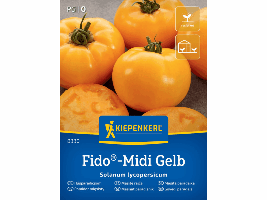 Pomidor mięsisty żółty 'Fido®-Midi Gelb’ F1 nasiona Kiepenkerl