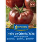 Pomidor mięsisty Noire de Crimée/Yalta