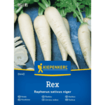 Rzodkiew Rex
