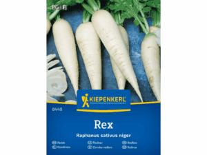 Rzodkiew biała 'Rex' nasiona Kiepenkerl