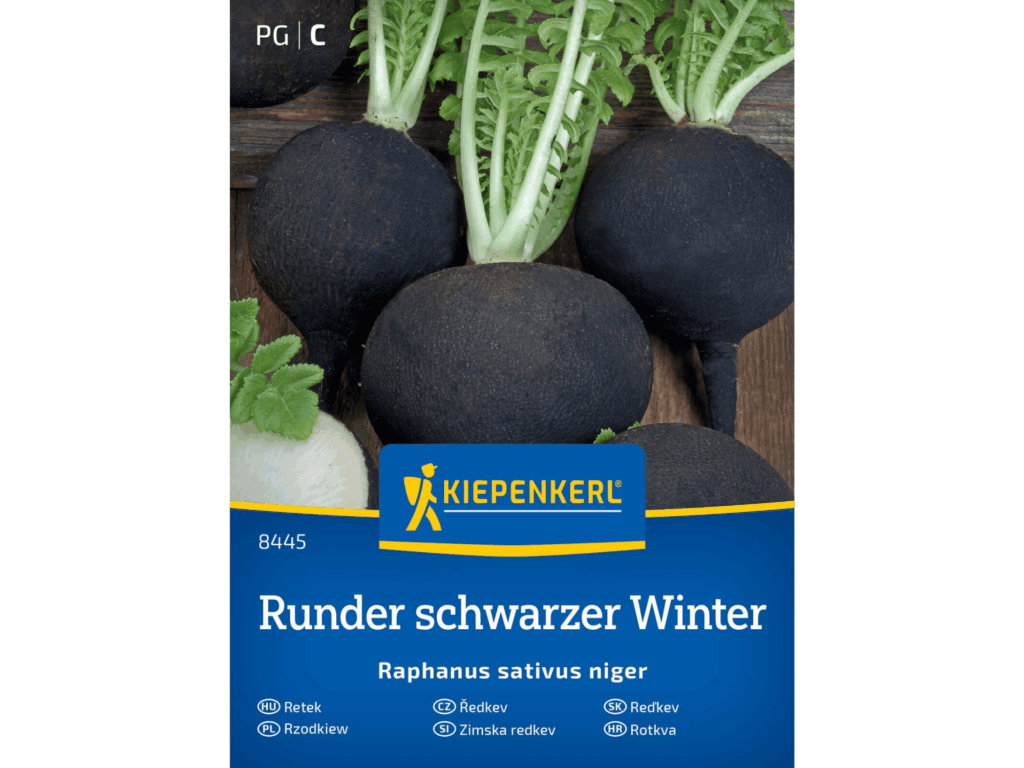 Rzodkiew czarna zimowa 'Runder schwarzer Winter’ nasiona Kiepenkerl