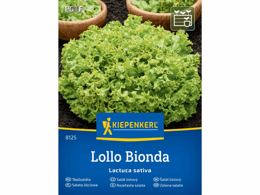 Sałata liściowa 'Lollo Bionda’ nasiona Kiepenkerl