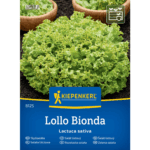 Sałata Lollo Bionda