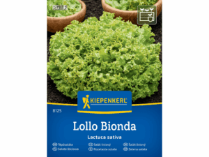 Sałata liściowa 'Lollo Bionda' nasiona Kiepenkerl