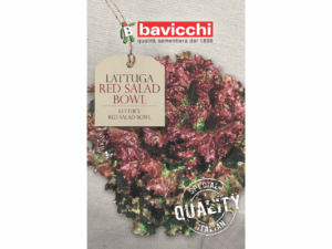 sałata czerwona nasiona