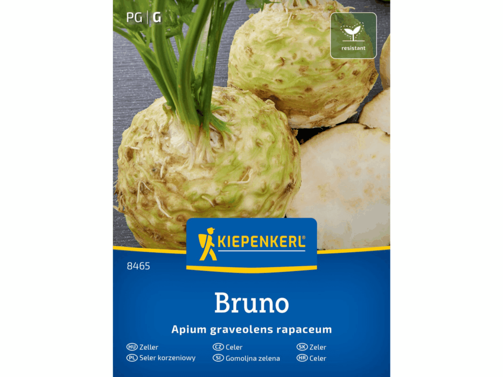Seler korzeniowy 'Bruno’ nasiona Kiepenkerl