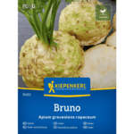 Seler korzeniowy Bruno