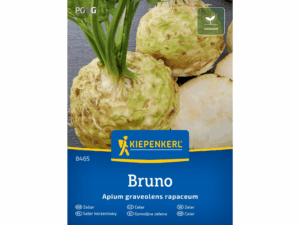 Seler korzeniowy 'Bruno' nasiona Kiepenkerl