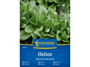 Szpinak 'Helios' F1 nasiona Kiepenkerl