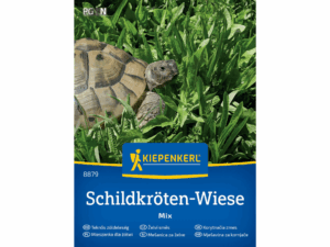 łąka dla żółwia