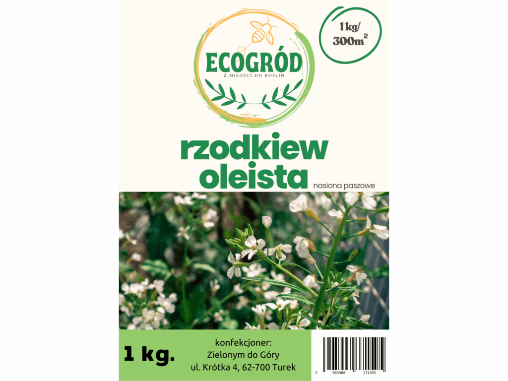 Rzodkiew Oleista